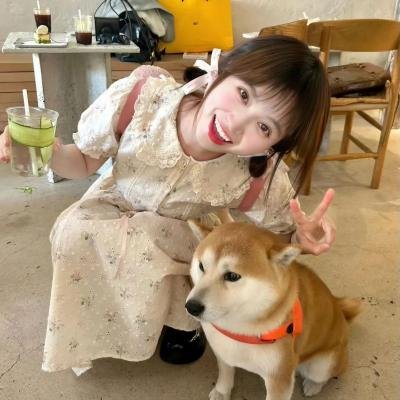 爱的着陆海报